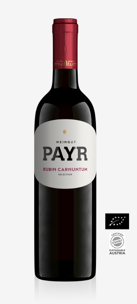 Rubin Carnuntum Zweigelt "Selection" Carnuntum DAC - Weingut Payr 6er Paket