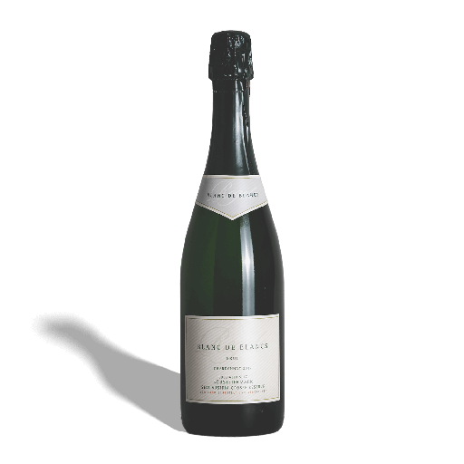 Blanc de Blancs g. U. Steiermark Große Reserve 2017 - Weingut Regele 6er Paket